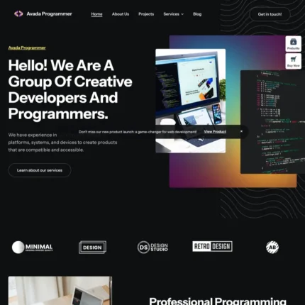Programmer Website Design with Free VPS Web Hosting