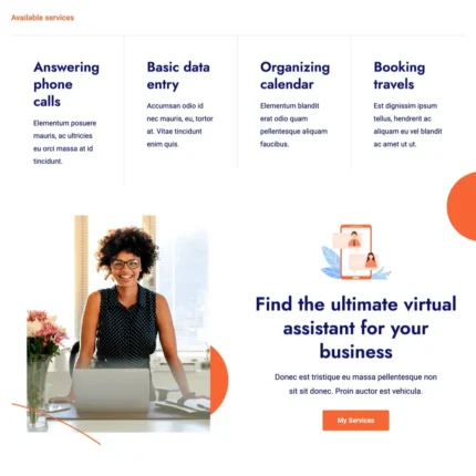 Virtual Assistant Website Design with Free VPS Web Hosting