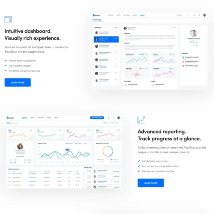 Software Agency Website Design with Free VPS Web Hosting