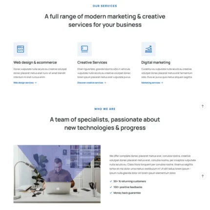 Online Business Website Design with Free VPS Web Hosting