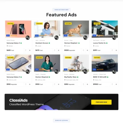 Ready Made Classified Website Design with Free Web Hosting