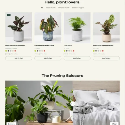 Plants Store Website Design with Free Web Hosting